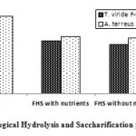 Figure 1: Different Biological Hydrolysis and Saccharification processes of Rice Straw.