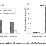 Figure 2: Concentrations of mono-saccharides before and after fermentation.
