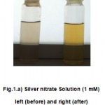 Fig.1.a: Silver nitrate Solution (1 mM) left (before) and right (after) addition of flower extract solutions.