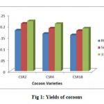 Figure 1: Yields of cocoons.