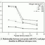 Figure 2: Relationship between corn grain yield (GYc) and pigweed densities in different nitrogen rates.