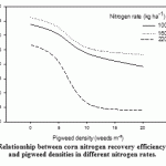 Figure 3: Relationship between corn nitrogen recovery efficiency (NRE) and pigweed densities in different nitrogen rates.
