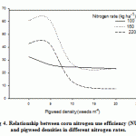 Figure 4. Relationship between corn nitrogen use efficiency (NUE) and pigweed densities in different nitrogen rates.