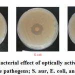 Figure 10: Comparative antibacterial effect of optically active PU-Fe3O4% 10 in presence of three pathogens; S. aur, E. coli, and Kleb