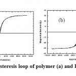 Figure 7: Magnetic hysteresis loop of polymer (a) and PU/Fe3O4 30% NCs (b)