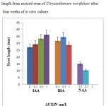 Figure 2: Response of different concentrations of auxins on root length from excised stem of Chrysanthemum morifolium after four weeks of in vitro culture.