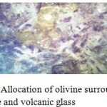 Figure 1(b): Allocation of olivine surrounded by microlite and volcanic glass