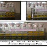 Figure 6: Indicating the MPN tubes for the three sampling stations recycler, boat camp and plant 