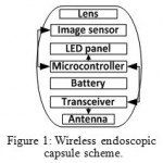 Figure 1: Wireless endoscopic capsule scheme