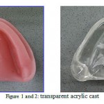  Figure 1 and 2: transparent acrylic cast