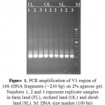 Figure 1: PCR amplification of V3 region of 16S rDNAfragments (∼230 bp) on 2% agarose gel.Numbers 1, 2 and 3 represent replicate samples in farm land (FL), orchard land (OL) and shrub land (SL). M:DNA size marker (100 bp) (DENAzist Asia Co. Iran).