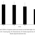 Figure 3: Effect of cigarette smoke and exercise on the birthweight of offspring (G1: Control group, G2: Exercised rats, G3: Smoke exposed rats, G4: Smoke exposed-exercised rats).