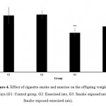 Figure 4: Effect of cigarette smoke and exercise on the offspring weight after 60 days (G1: Control group, G2: Exercised rats, G3: Smoke exposed rats, G4: Smoke exposed-exercised rats).