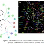 Figure 2: 2D/3D interactions of Lisinopril with the active sites of the ACE showing hydrogen bond interaction and non-covalent lipophilic interactions.