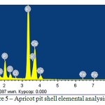Figure 5: Apricot pit shell elemental analysis