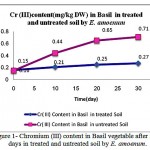 Figure 1: Chromium (III) content in Basil vegetable after 30 days in treated and untreated soil by E. amoenum.