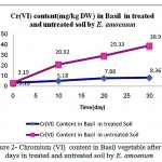 Figure 2: Chromium (VI) content in Basil vegetable after 30 days in treated and untreated soil by E. amoenum 