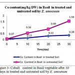 Figure 3: Cobalt content in Basil vegetable after 30 days in treated and untreated soil by E. amoenum 
