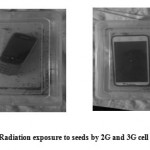 Figure 1: Radiation exposure to seeds by 2G and 3G cell phones.