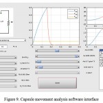 Figure 9: Capsule movement analysis software interface