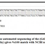 Figure 4: The automated sequencing of the (G6PD) gene Control (Iraqi healthy)