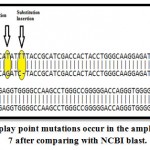 Figure 6b: Display point mutations occur in the amplified gene in exon 7 after comparing with NCBI blast.