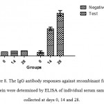 Figure 8: The IgG antibody responses against recombinant fusion protein were determined by ELISAof individual serum samples collected at days 0, 14 and 28.