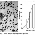 Figure 3: TEM images of pure gold nanoparticles