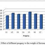 Figure 3: Effect of different progeny to the weight of thousand grains
