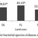Figure 3: Means for bacterial species richness of the studied soils.