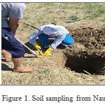 Figure 1: Soil sampling from Nauryzbai site