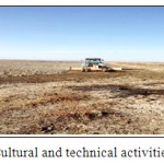 Figure 2: Cultural and technical activities on Nauryzbai site