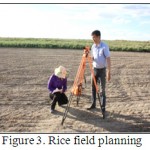 Figure 3: Rice field planning