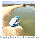 Figure 5: Sampling from an irrigation channel for analysis