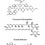 Figure 2: Chemical structure of β-lactams, Glycopeptides, polyenes and actionomycins Peptides.