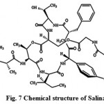 Figure 7: Chemical structure of Salinamides