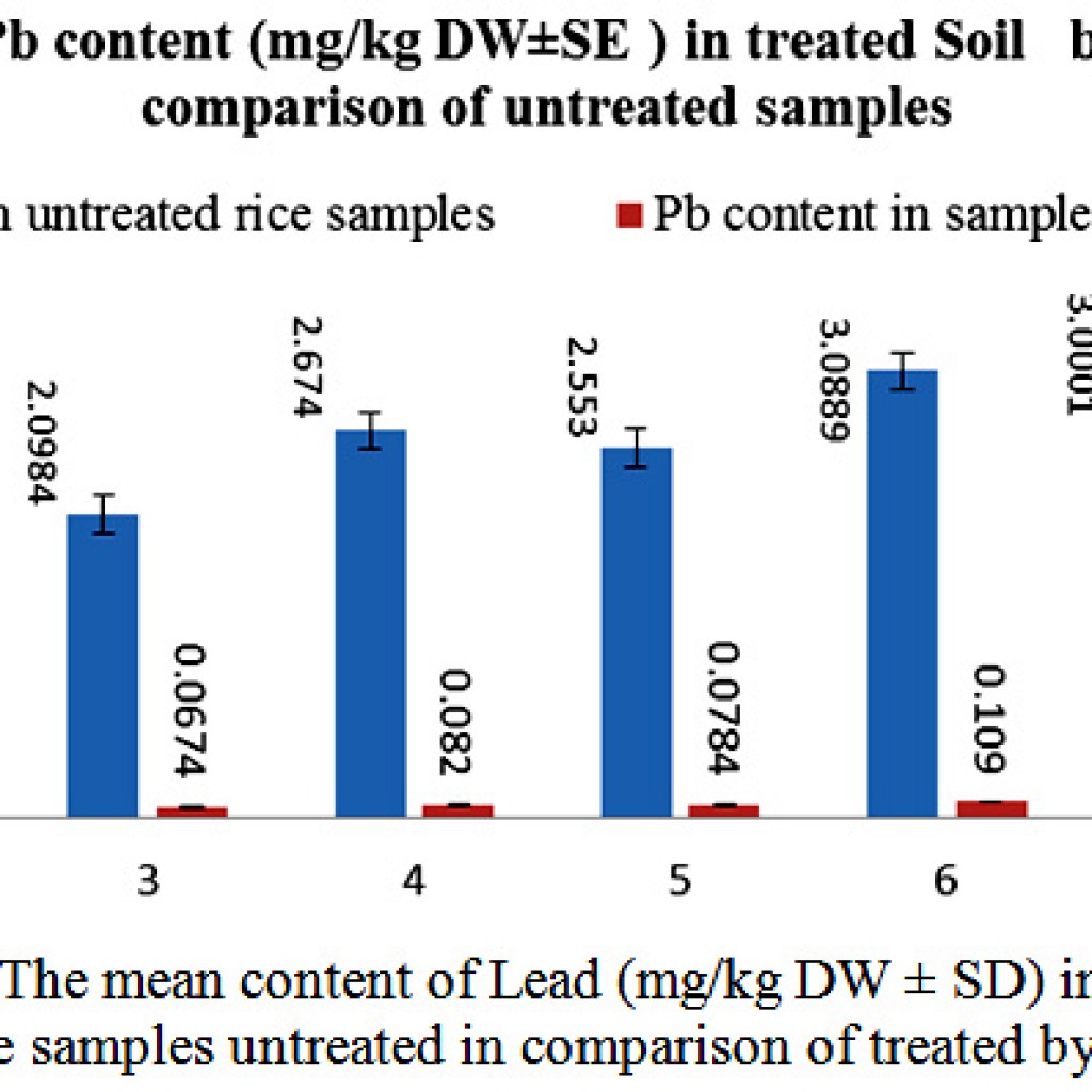 Contaminated Rice Vs. Clean Rice Remediation of Contaminated Rice Farmlands Soil and Oryza Sativa Rice ...