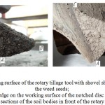 Figure 1: Cross sections of the soil bodies in front of the rotary tillage tools