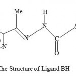 Figure 4 : The Structure of Ligand BH.