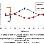 Figure 1: Effect of SNP or L-NAME on urine flow in sham kidney-denervated rats (n=6pergroup). Asterisks on graphs denote signifcant differencefrom the control values (*P<0.05, **P<0.01, ***P<0.001).