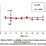 Figure 3: Effect of'SNP or L-NAME on urine flow in kidney-denervated rats (n=6 per group ).  All points were not significantly different from the control values.