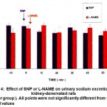 Figure 4:  Effect of SNP or L-NAME on urinary sodium excretion in kidney-denervated rats (n=6per group ). All points were not significantly different from the control values.