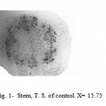 Figure 1: Stem, T. S. of control. X= 15.75.