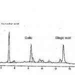 Figure 1: HPLC chromatogram of the polyphenolic acids present in lime extracts showing their relative contributions.