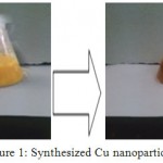 Figure 1: Synthesized Cu nanoparticles