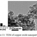 Figure 11: TEM of copper oxide nanoparticles