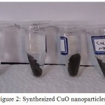 Figure 2: Synthesized CuO nanoparticles