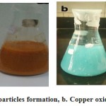 Figure 5: a. Copper nanoparticles formation, b. Copper oxide nanoparticles formation