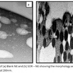 Figure 2: SEM images of (a) Blank NE and (b) SOR – NE showing the morphology and size measurements. Images are magnified at 200nm.