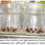 Figure 3: The important stage is the viability test (germination of seeds before their preservation) The device for the seed germination test 'APS-2M‘ (Jacobson's table)